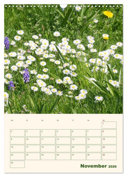 Produktbild: Vertr&auml;umte G&auml;nsebl&uuml;mchen (Wandkalender 2026 DIN A3 hoch), CALVENDO Monatskalender