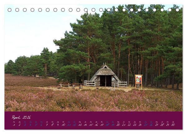 Produktbild: Die Nemitzer Heide - Im Wendland unterwegs (Tischkalender 2026 DIN A5 quer), CALVENDO Monatskalender