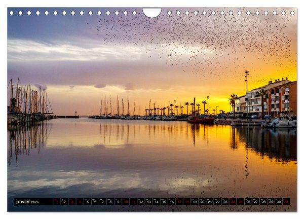 Produktbild: R&ecirc;veries en M&eacute;diterran&eacute;e (Calendrier mural 2026 DIN A4 vertical), CALVENDO calendrier mensuel