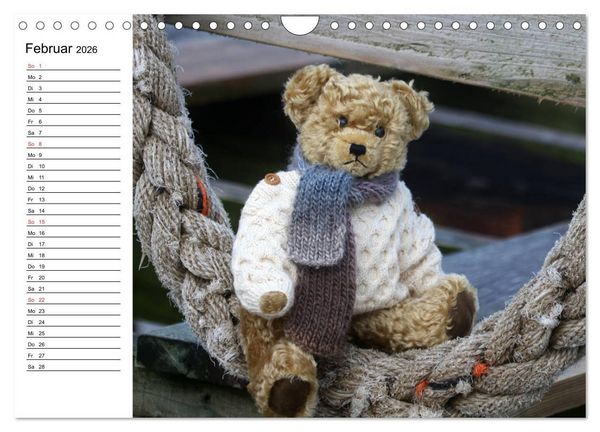 Produktbild: Teddy unterwegs (Wandkalender 2026 DIN A4 quer), CALVENDO Monatskalender