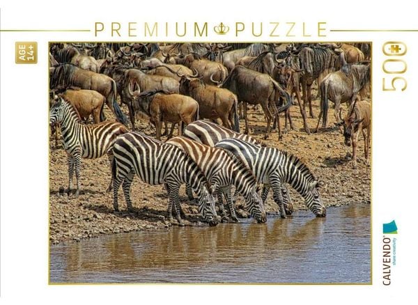 CALVENDO Puzzle Zebras....Streifen am Wasser | 500 Teile Lege-Größe 48 × 36 cm Foto-Puzzle für Erwachsene