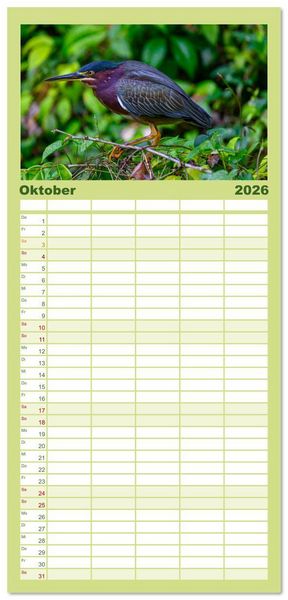 Produktbild: Familienplaner 2026 - Costa Rica - Naturparadies zwischen Karibik und Pazifik mit 5 Spalten (Wandkalender, 21 x 45 cm) CALVENDO