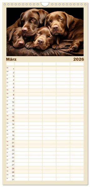 Produktbild: Familienplaner 2026 - Wenn sie schlafen... mit 5 Spalten (Wandkalender, 21 x 45 cm) CALVENDO