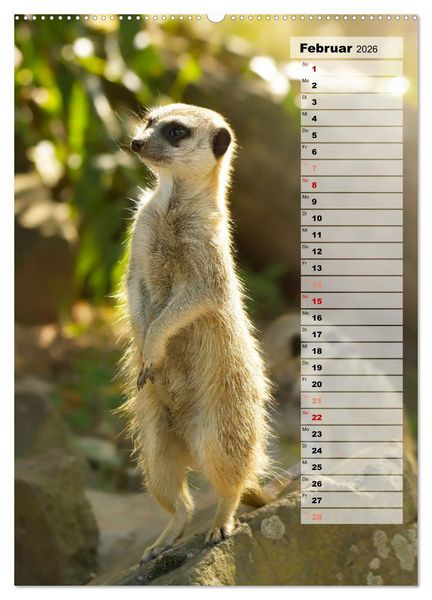 Produktbild: Erdm&auml;nnchen, putzige Kerlchen mit gro&szlig;en Knopfaugen (Wandkalender 2026 DIN A2 hoch), CALVENDO Monatskalender