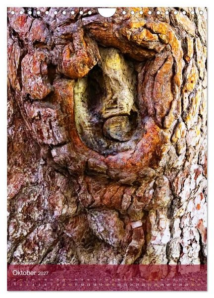 Produktbild: Geister im Wald 2027 (Wandkalender 2027 DIN A4 hoch), CALVENDO Monatskalender