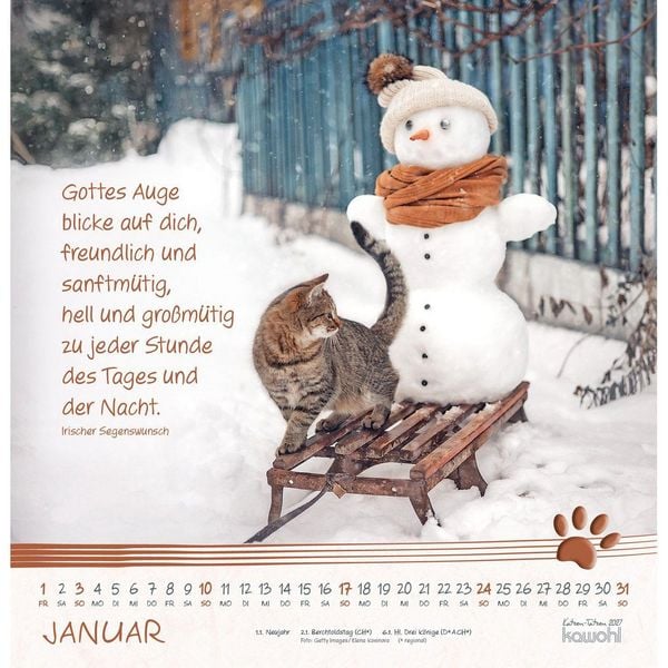 Produktbild: Katzen-Tatzen 2027