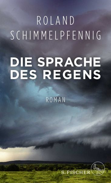 Produktbild: Die Sprache des Regens