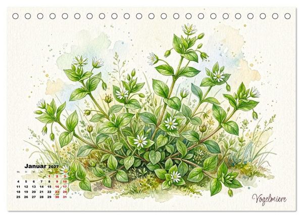 Produktbild: Wilde Kostbarkeiten &ndash; Essbar, gesund & wundersch&ouml;n (Tischkalender 2027 DIN A5 quer), CALVENDO Monatskalender