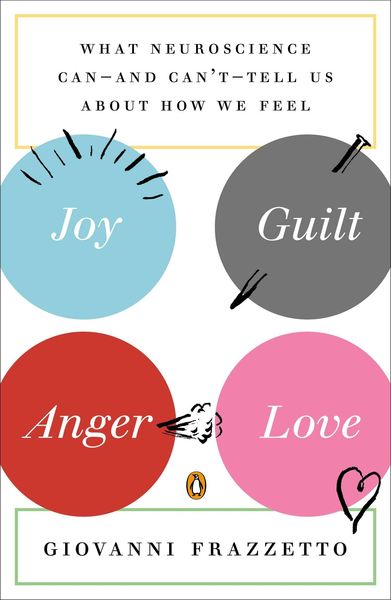 Produktbild: Joy, Guilt, Anger, Love