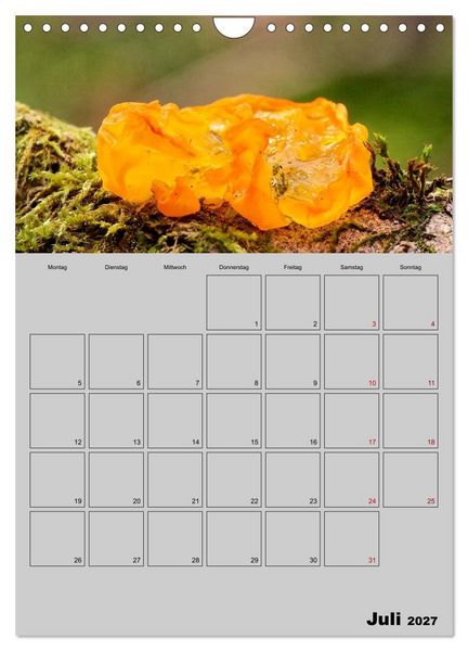 Produktbild: Quer durch die Pilze (Wandkalender 2027 DIN A4 hoch), CALVENDO Monatskalender