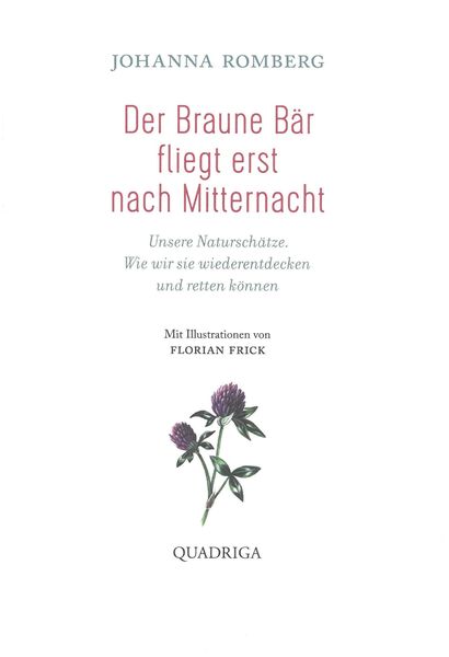 Der Braune Bär fliegt erst nach Mitternacht