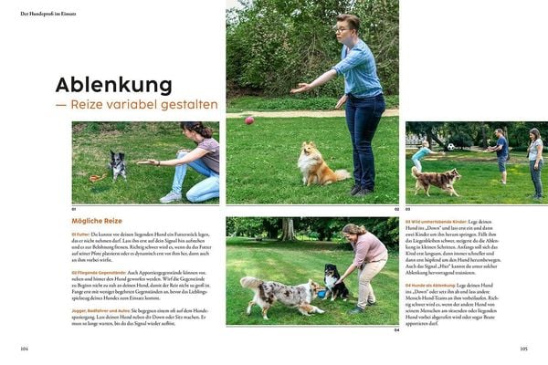 Produktbild: Hundetraining mit Martin R&uuml;tter