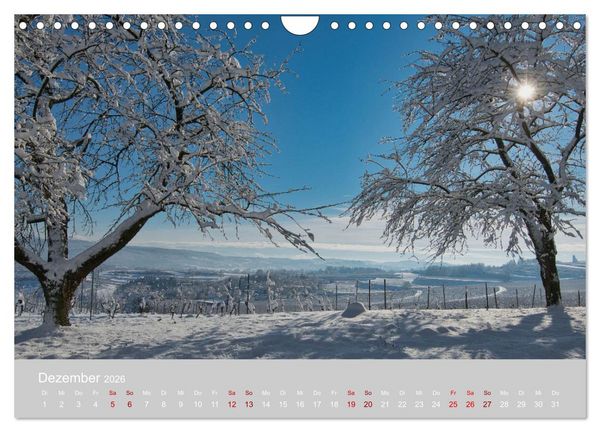 Produktbild: Ettenheim - Perle der Ortenau (Wandkalender 2026 DIN A4 quer), CALVENDO Monatskalender