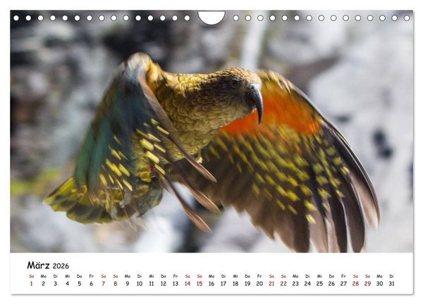 Produktbild: Neuseeland-Aotearoa, Land der wei&szlig;en Wolke (Wandkalender 2026 DIN A4 quer), CALVENDO Monatskalender