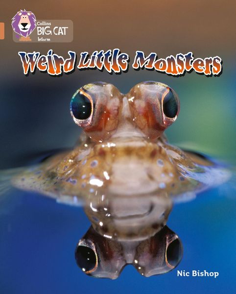 Produktbild: Weird Little Monsters