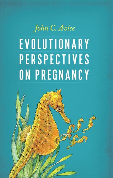 Produktbild: Evolutionary Perspectives on Pregnancy