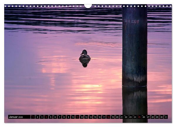 Produktbild: Mecklenburgische Seenplatte - zum Tr&auml;umen sch&ouml;n (Wandkalender 2026 DIN A3 quer), CALVENDO Monatskalender
