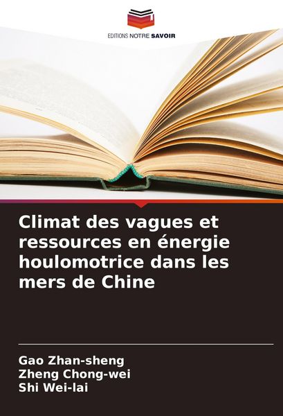 Produktbild: Climat des vagues et ressources en &eacute;nergie houlomotrice dans les mers de Chine