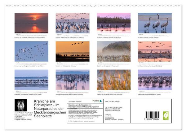 Produktbild: Kraniche am Schlafplatz - im Naturparadies der Mecklenburgischen Seenplatte (hochwertiger Premium Wandkalender 2026 DIN A2 quer), Kunstdruck in Hochglanz