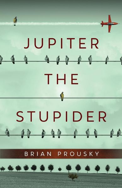 Produktbild: Jupiter the Stupider