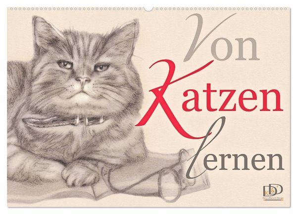 Von Katzen lernen (Wandkalender 2024 DIN A2 quer), CALVENDO Monatskalender