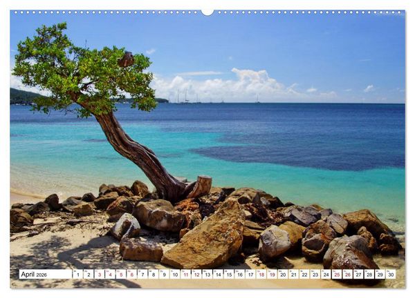Produktbild: Martinique, die Traumstr&auml;nde (Wandkalender 2026 DIN A2 quer), CALVENDO Monatskalender