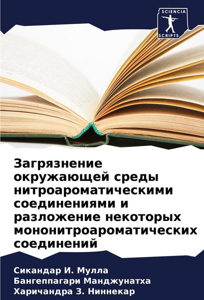 Produktbild: Zagrqznenie okruzha&uuml;schej sredy nitroaromaticheskimi soedineniqmi i razlozhenie nekotoryh mononitroaromaticheskih soedinenij