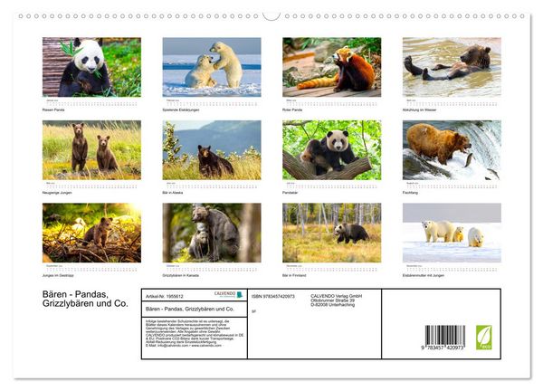 Produktbild: B&auml;ren - Pandas, Grizzlyb&auml;ren und Co. (hochwertiger Premium Wandkalender 2026 DIN A2 quer), Kunstdruck in Hochglanz