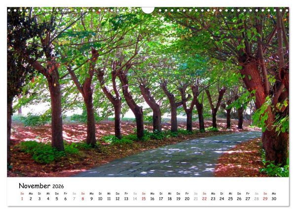 Produktbild: Franziskusweg - Camino di Assisi (Wandkalender 2026 DIN A3 quer), CALVENDO Monatskalender