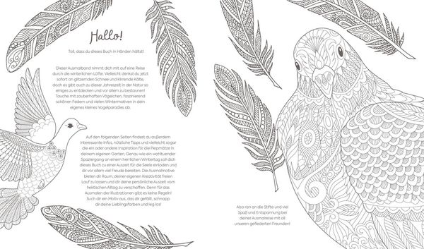 Produktbild: Ausmalreise Winterliche Vogelwelt