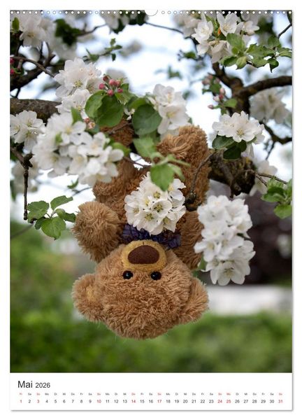 Produktbild: Travelling Teddy liebt Blumen und Bl&uuml;ten (hochwertiger Premium Wandkalender 2026 DIN A2 hoch), Kunstdruck in Hochglanz
