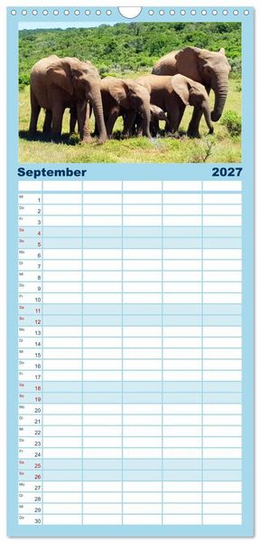 Produktbild: Familienplaner 2027 - 7 Kontinente - Weltweit durch das Jahr mit 5 Spalten (Wandkalender, 21 x 45 cm) CALVENDO
