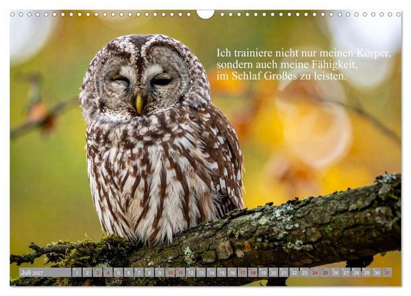 Produktbild: Erst schlafen, dann Welt retten (Wandkalender 2027 DIN A3 quer), CALVENDO Monatskalender