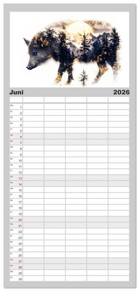 Produktbild: Familienplaner 2026 - W&auml;chter des Zauberwaldes mit 5 Spalten (Wandkalender, 21 x 45 cm) CALVENDO