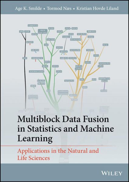 Produktbild: Multiblock Data Fusion in Statistics and Machine Learning