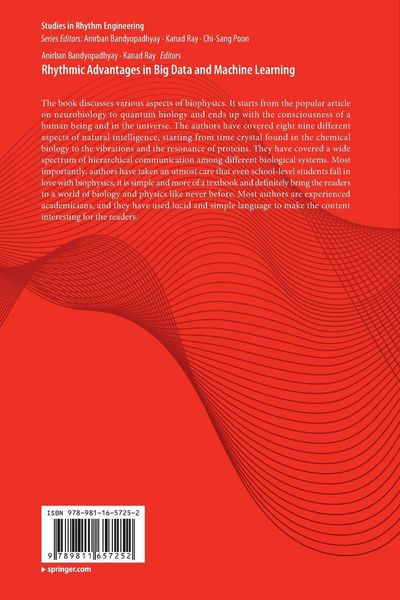 Produktbild: Rhythmic Advantages in Big Data and Machine Learning