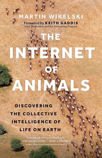Produktbild: The Internet of Animals