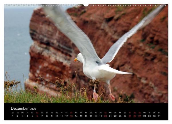 Produktbild: Faszinierendes Helgoland (Wandkalender 2026 DIN A2 quer), CALVENDO Monatskalender