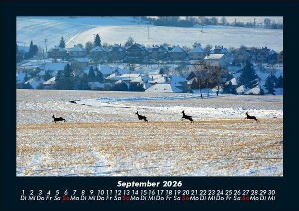 Produktbild: Blick in die Natur 2026 Fotokalender DIN A5