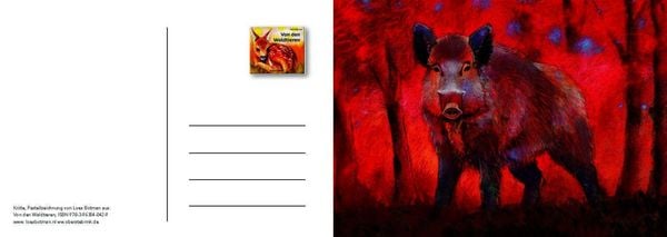 Produktbild: Von den Waldtieren &ndash; Ein Postkartenbuch
