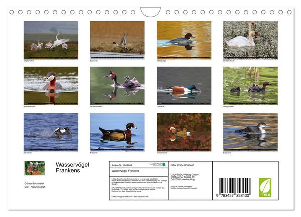 Produktbild: Wasserv&ouml;gel Frankens (Wandkalender 2026 DIN A4 quer), CALVENDO Monatskalender