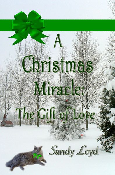 Produktbild: A Christmas Miracle: The Gift of Love (Christmas Miracle Series, #2)