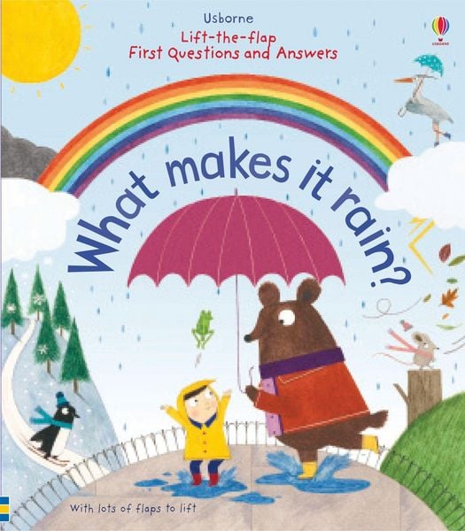 Produktbild: Lift-the-Flap First Questions and Answers What Makes it Rain?