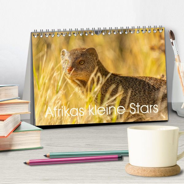 Produktbild: Afrikas kleine Stars (Tischkalender 2026 DIN A5 quer), CALVENDO Monatskalender