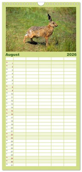 Produktbild: Familienplaner 2026 - Tiere des Waldes mit 5 Spalten (Wandkalender, 21 x 45 cm) CALVENDO