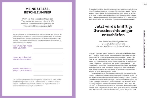 Produktbild: Stress positiv nutzen