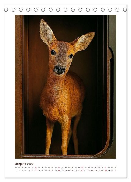 Produktbild: Wer f&auml;hrt denn da? Ein tierisches Paternoster Vergn&uuml;gen (Tischkalender 2027 DIN A5 hoch), CALVENDO Monatskalender
