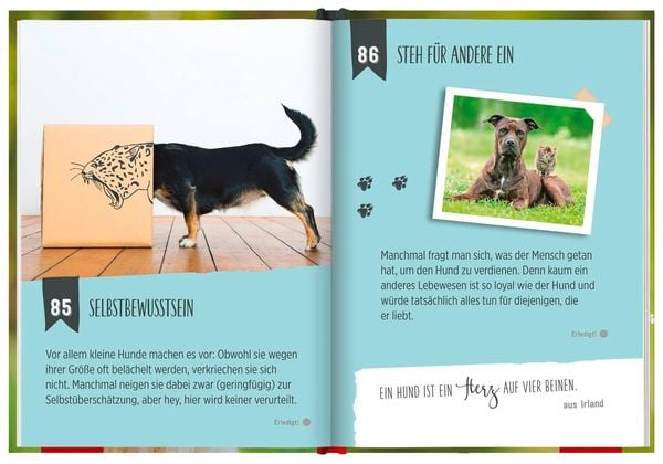 Produktbild: 100 Dinge, die man von einem Hund lernen kann