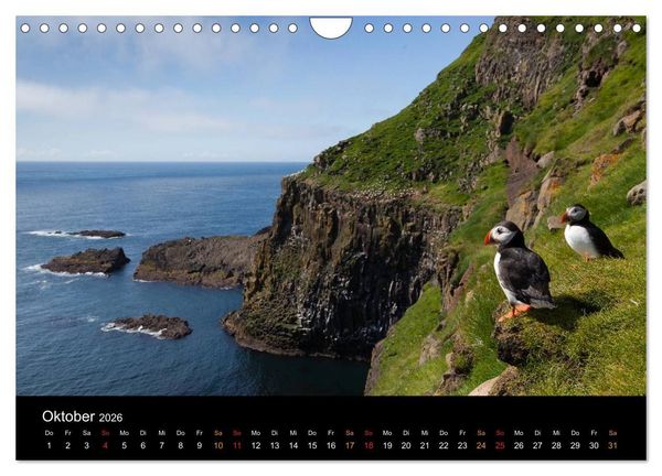 Produktbild: Welt der Papageitaucher (Wandkalender 2026 DIN A4 quer), CALVENDO Monatskalender