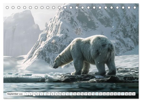 Produktbild: Wei&szlig;e W&auml;chter des Nordens: Ein Jahr im Reich der Eisb&auml;ren (Tischkalender 2026 DIN A5 quer), CALVENDO Monatskalender